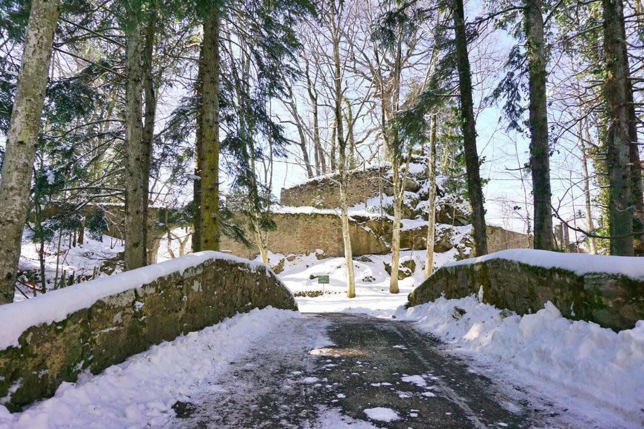 Casa Dante Διαμέρισμα Vivo dʼOrcia Εξωτερικό φωτογραφία