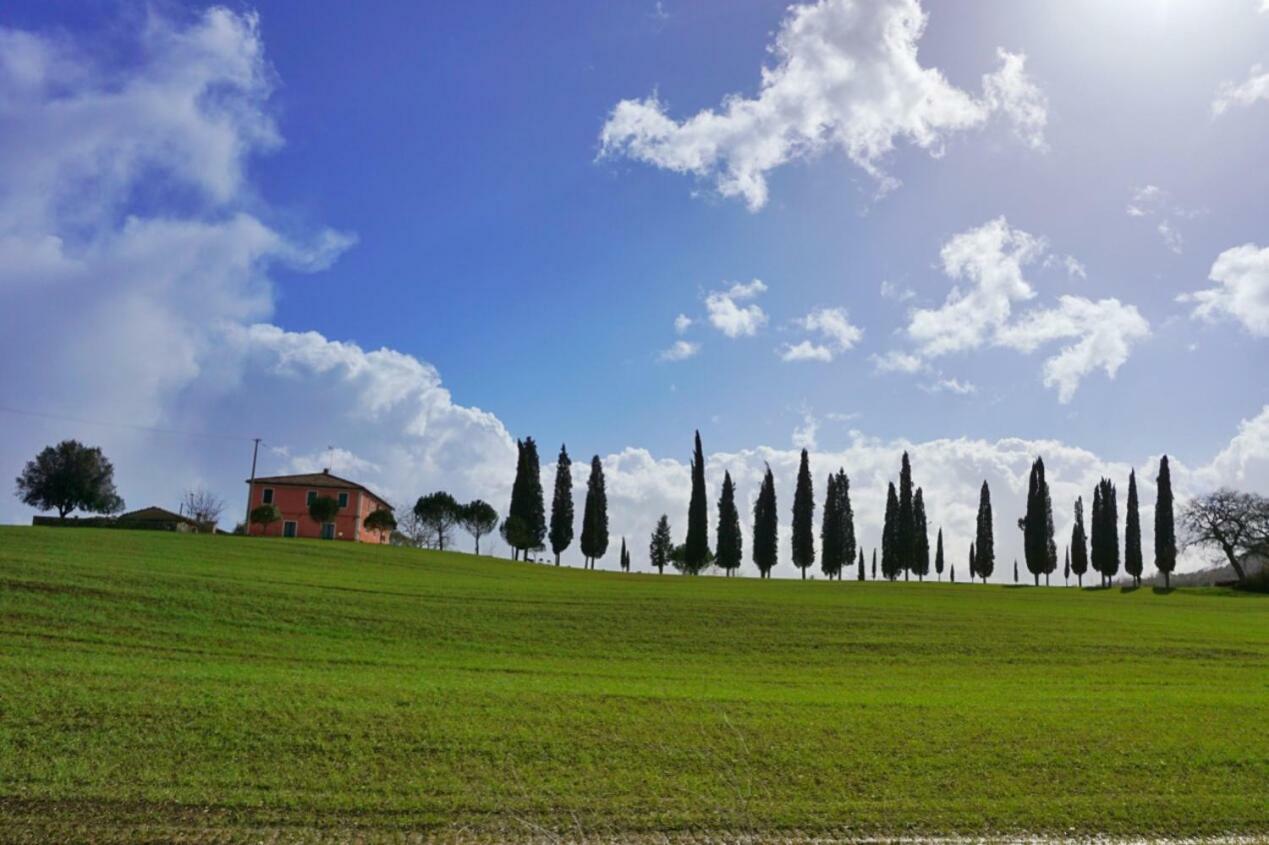Casa Dante Διαμέρισμα Vivo dʼOrcia Εξωτερικό φωτογραφία