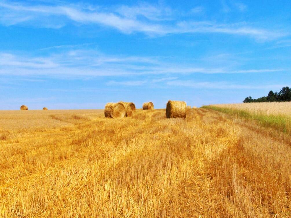 Casa Dante Διαμέρισμα Vivo dʼOrcia Εξωτερικό φωτογραφία