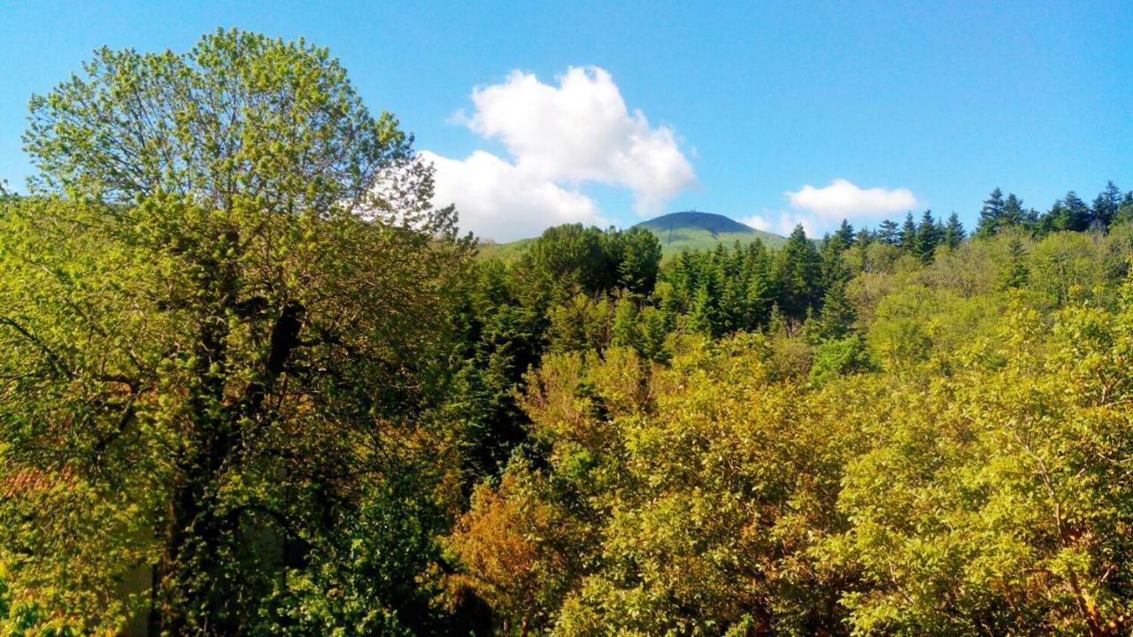 Casa Dante Διαμέρισμα Vivo dʼOrcia Εξωτερικό φωτογραφία